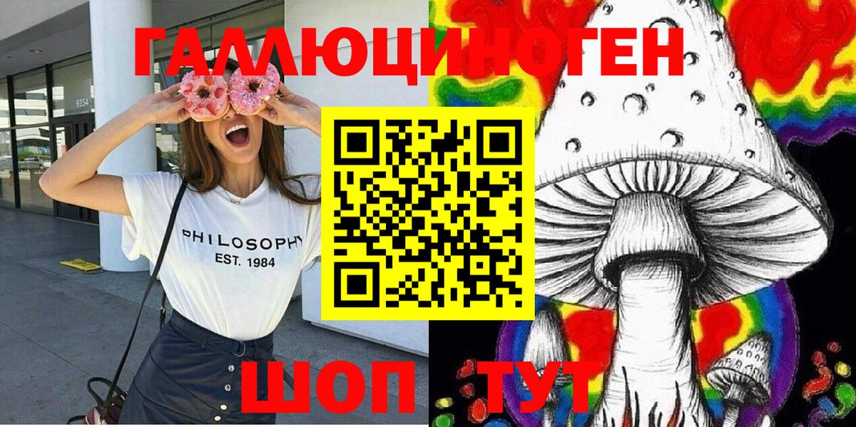 Дедовск  Галлюциногенные грибы прущие грибы  Вход с VPN  Псилоцибиновые грибы Psilocybe 